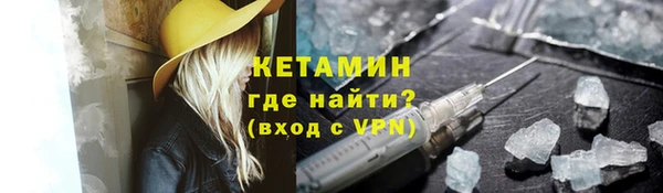сатива Верея